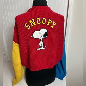 Lazy Oaf Peanuts Snoopy Colorblock Knit Cardigan